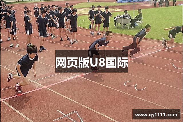 网页版U8国际